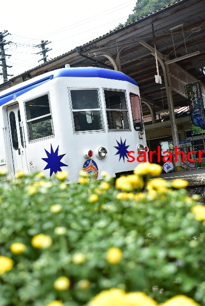 f:id:babupeikko:20200823224307j:plain f:id:babupeikko:20200823224307j:plain