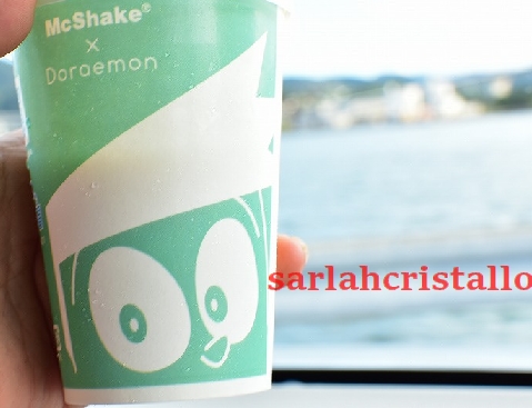 f:id:babupeikko:20200827183659j:plain f:id:babupeikko:20200827183659j:plain