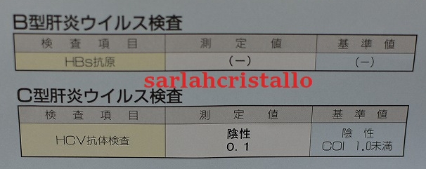 f:id:babupeikko:20200827184928j:plain f:id:babupeikko:20200827184928j:plain