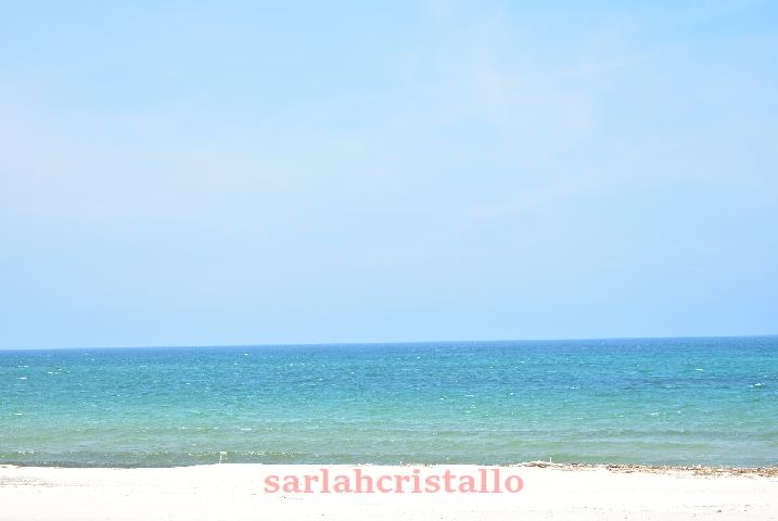 f:id:babupeikko:20200827185748j:plain f:id:babupeikko:20200827185748j:plain