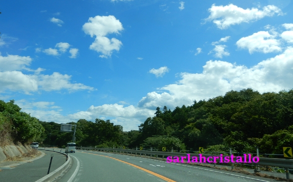 f:id:babupeikko:20200903185254j:plain