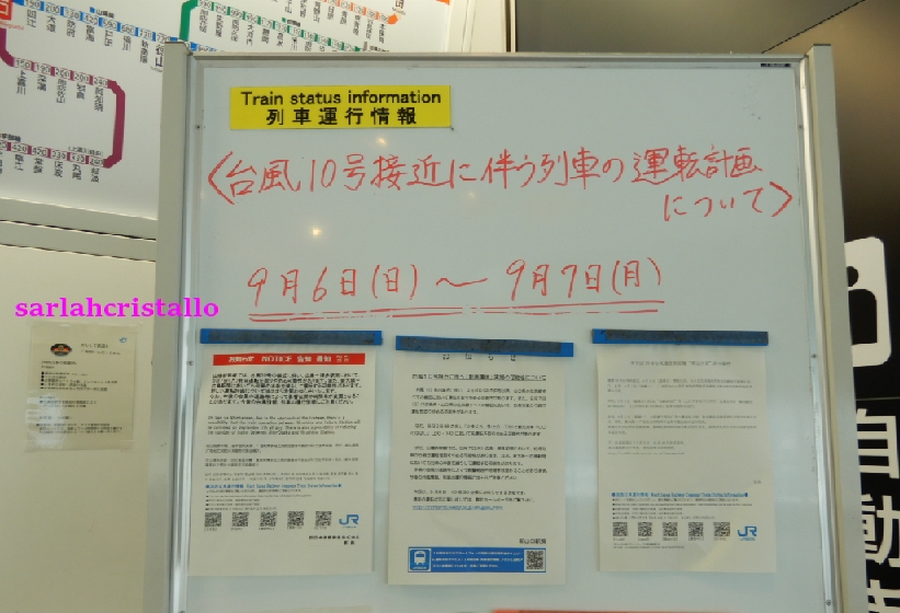 f:id:babupeikko:20200905200513j:plain