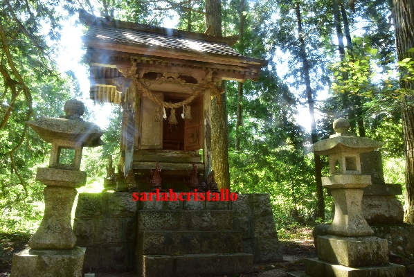 f:id:babupeikko:20200921185203j:plain