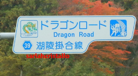 f:id:babupeikko:20201103210741j:plain