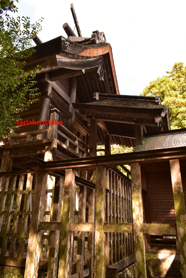 f:id:babupeikko:20201103212109j:plain