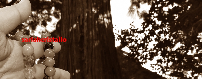 f:id:babupeikko:20201103212203j:plain