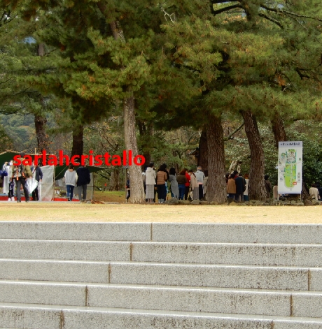 f:id:babupeikko:20201129154235j:plain