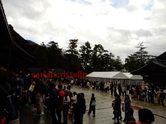 f:id:babupeikko:20201129155340j:plain