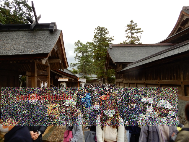 f:id:babupeikko:20201129155406j:plain