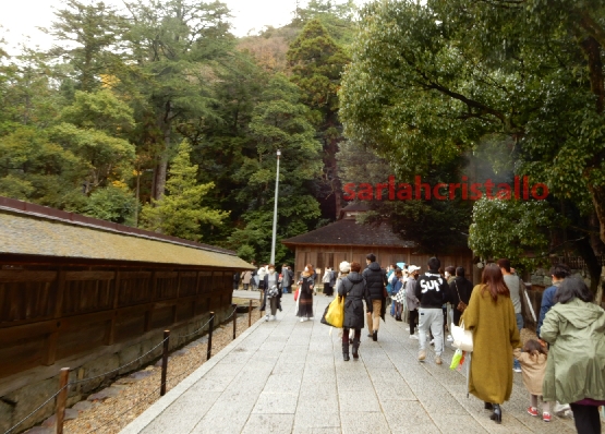 f:id:babupeikko:20201129160237j:plain
