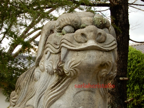 f:id:babupeikko:20201211135602j:plain