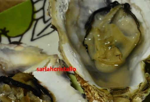 f:id:babupeikko:20201229194855j:plain