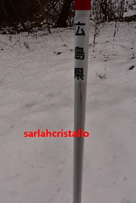 f:id:babupeikko:20201229195619j:plain