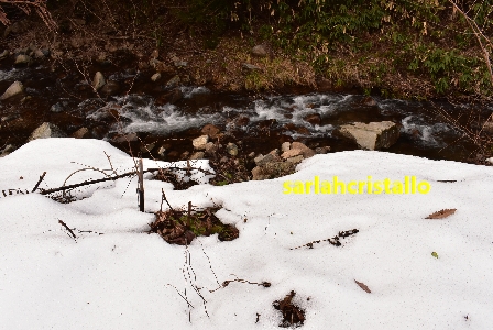 f:id:babupeikko:20201229195844j:plain