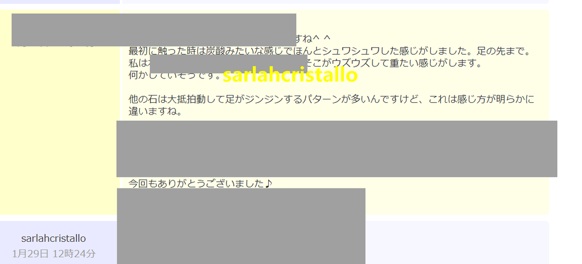 f:id:babupeikko:20210130195832j:plain