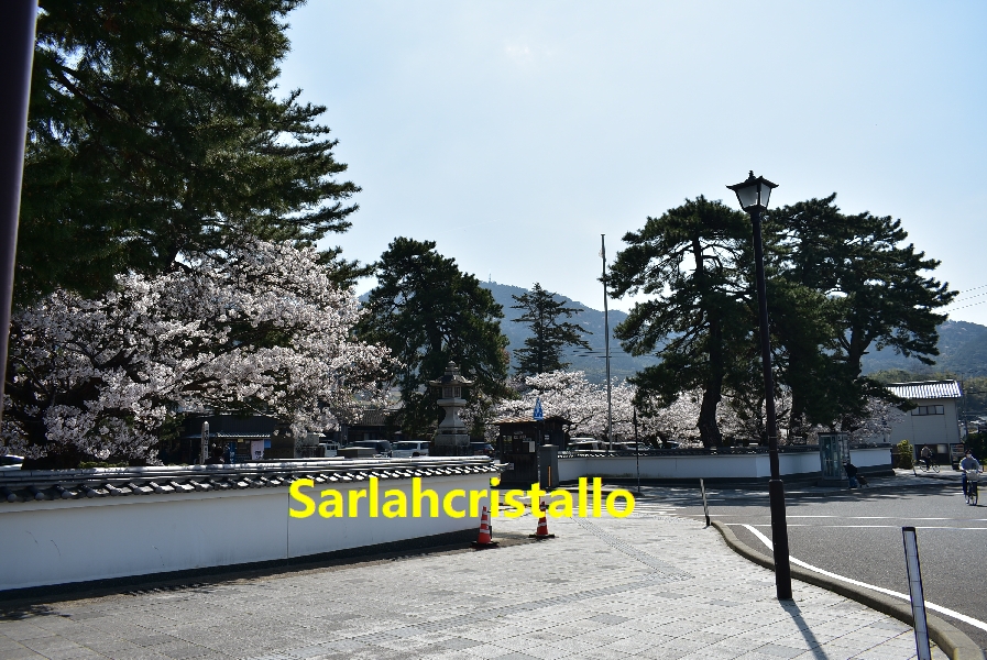 f:id:babupeikko:20210327114702j:plain