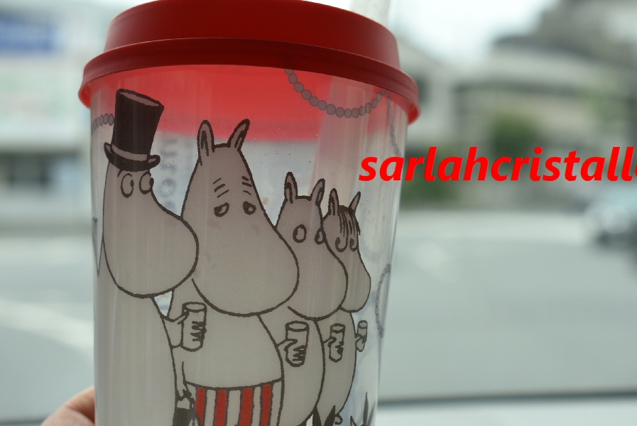 f:id:babupeikko:20210521180540j:plain