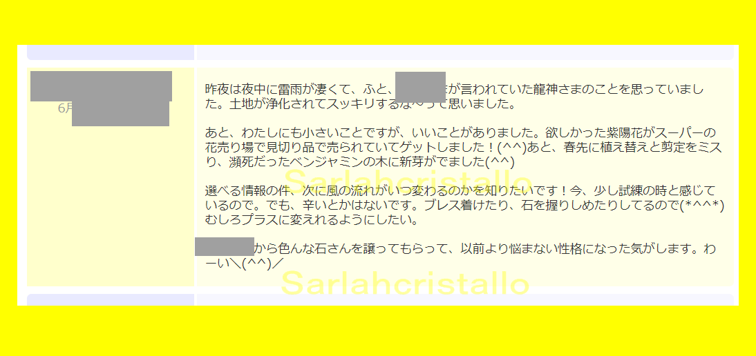 f:id:babupeikko:20210614220037j:plain