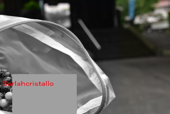 f:id:babupeikko:20210615165945j:plain