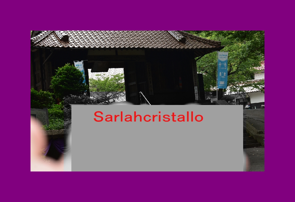 f:id:babupeikko:20210615170100j:plain