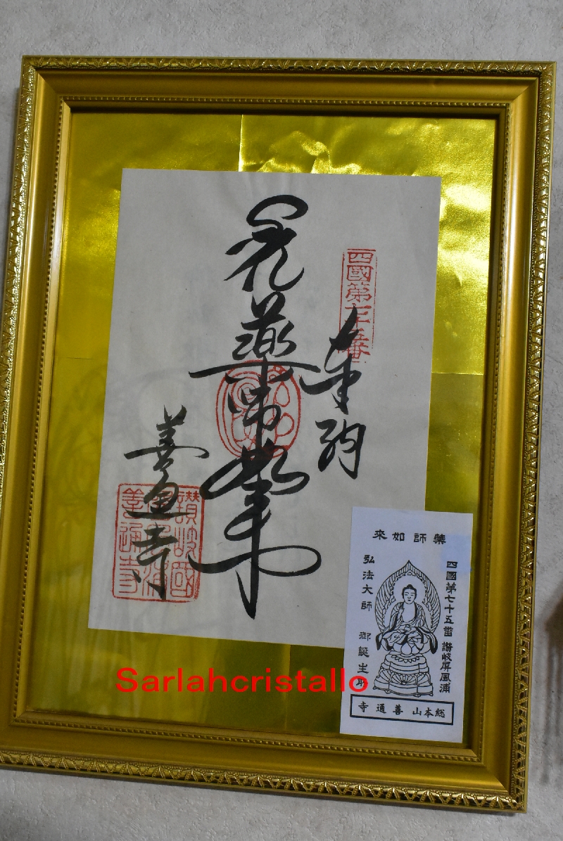 f:id:babupeikko:20210615173043j:plain