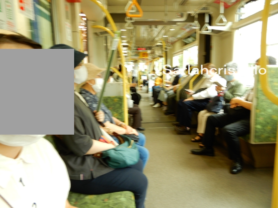 f:id:babupeikko:20210707094010j:plain