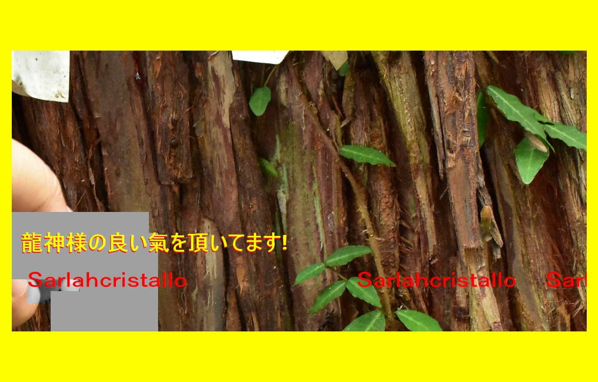 f:id:babupeikko:20210830130336j:plain