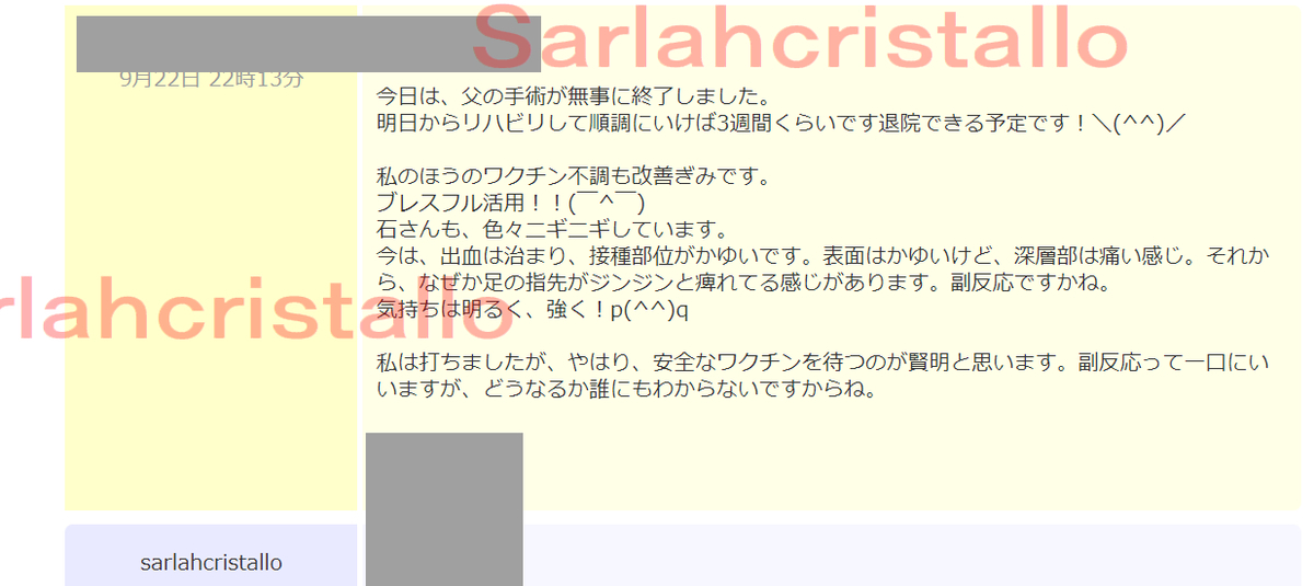 f:id:babupeikko:20210922231431j:plain