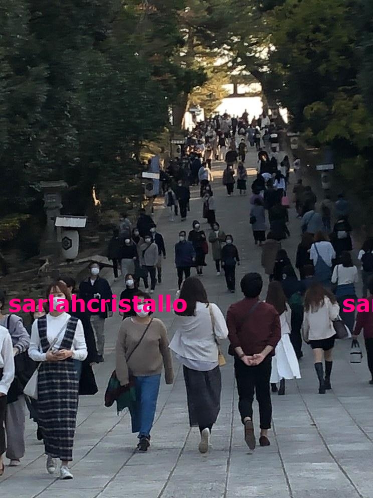 f:id:babupeikko:20211121005527j:plain