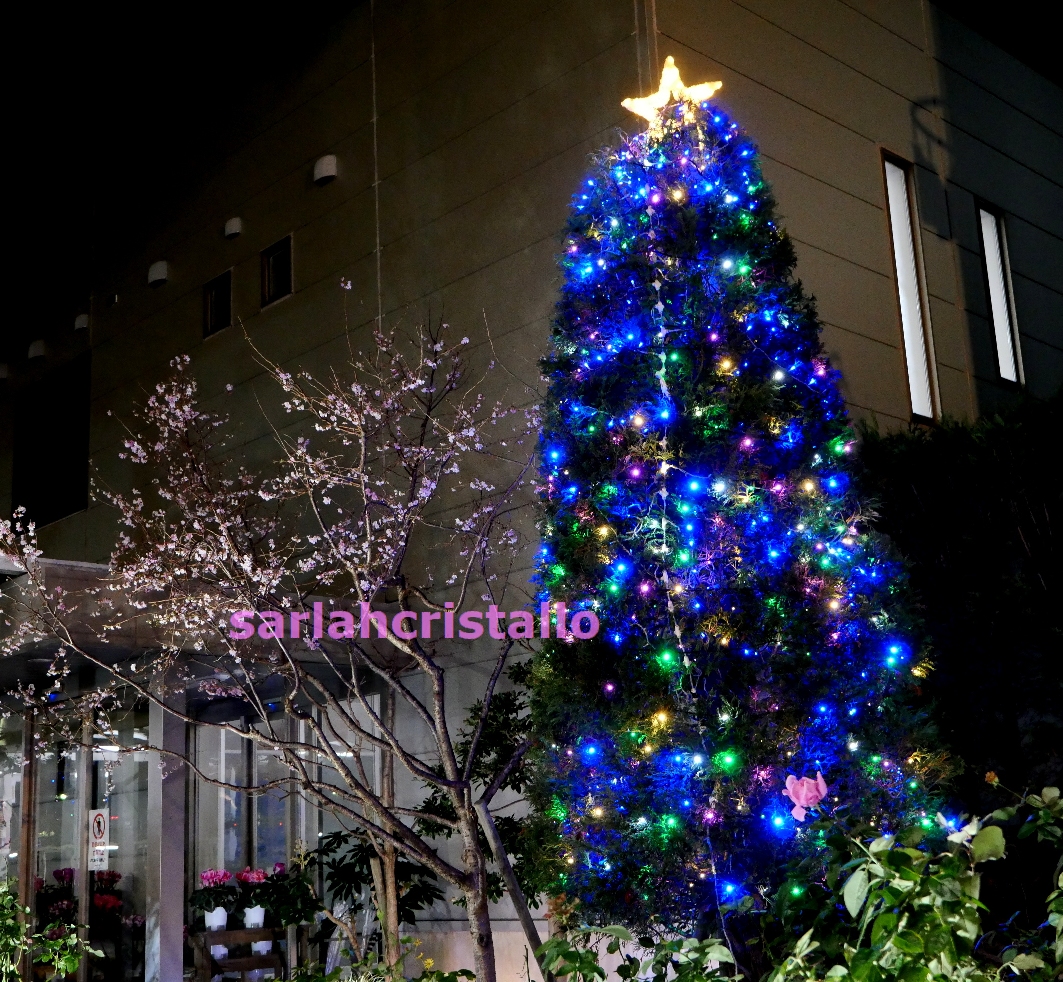f:id:babupeikko:20211212161936j:plain