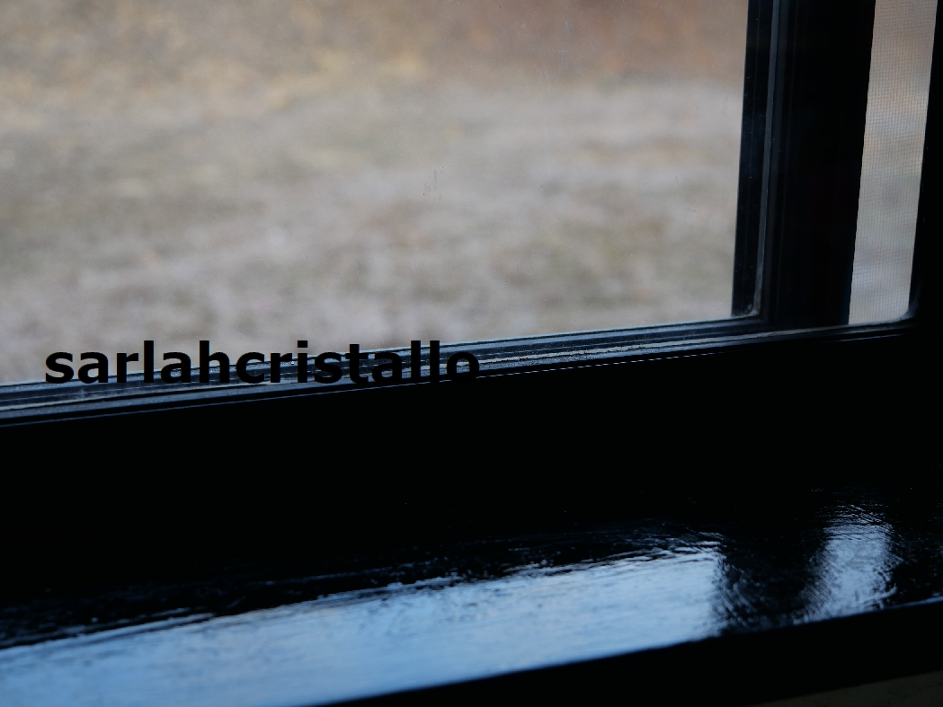 f:id:babupeikko:20211214164444j:plain