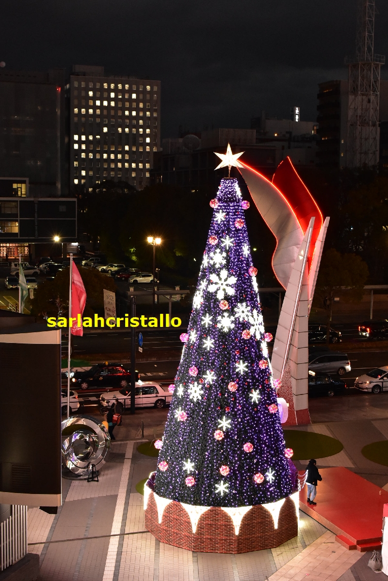 f:id:babupeikko:20211222110825j:plain