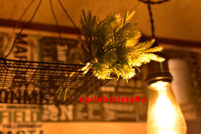 f:id:babupeikko:20211229000820j:plain