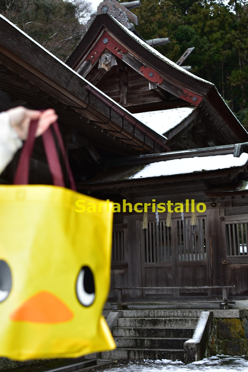 f:id:babupeikko:20220206222719j:plain