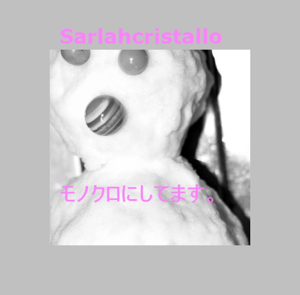 f:id:babupeikko:20220217233926j:plain