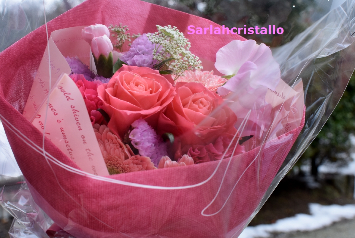 f:id:babupeikko:20220219225857j:plain