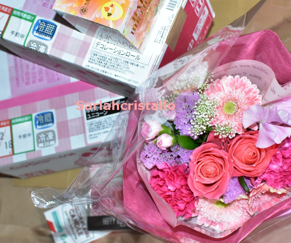 f:id:babupeikko:20220219230008j:plain
