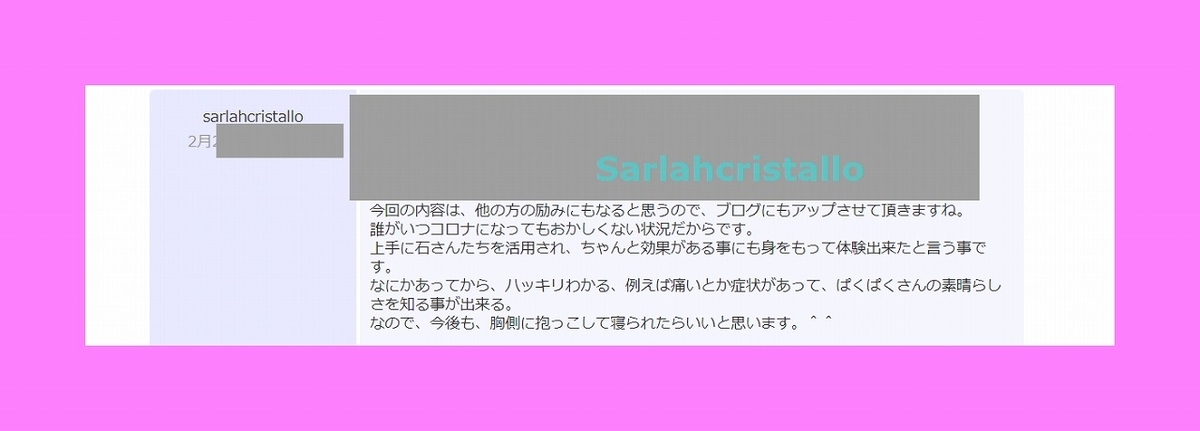 f:id:babupeikko:20220228212438j:plain