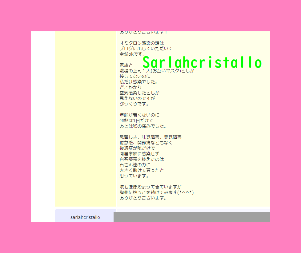 f:id:babupeikko:20220228212603j:plain