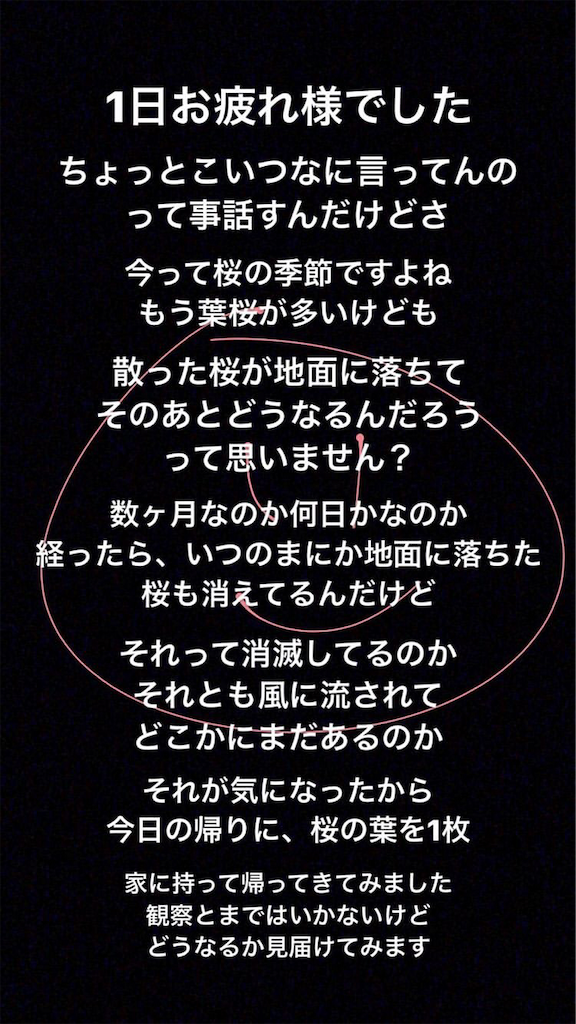 f:id:babutakuchan:20191118223315p:image