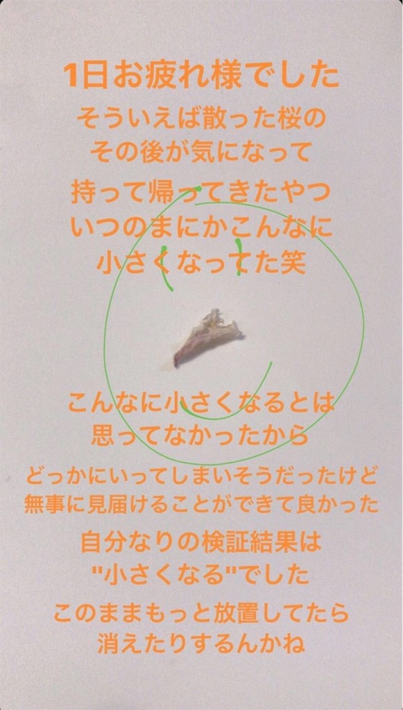 f:id:babutakuchan:20191118224452j:image