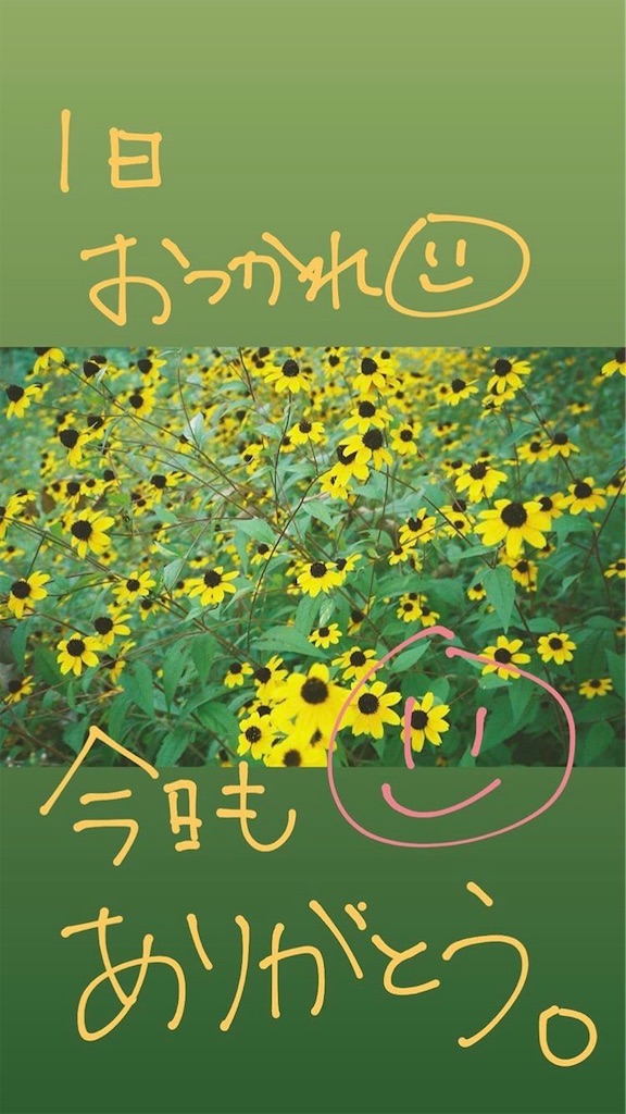 f:id:babutakuchan:20191120091015j:image