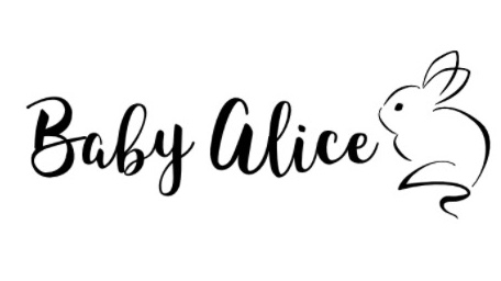 f:id:baby-alice:20190125114702j:plain f:id:baby-alice:20190125114702j:plain