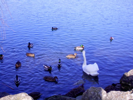 f:id:baby-alone:20080101122952j:image:h150 f:id:baby-alone:20080101122952j:image:h150