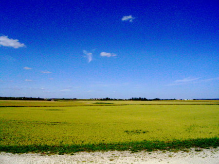 f:id:baby-alone:20080627161904j:image:h150 f:id:baby-alone:20080627161904j:image:h150