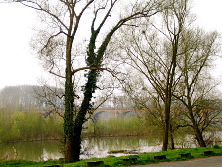 f:id:baby-alone:20090404161336j:image