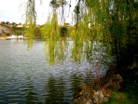 f:id:baby-alone:20090412004016j:image:h150