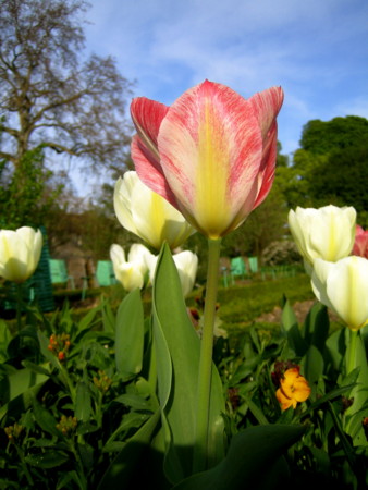 f:id:baby-alone:20090412011158j:image:h150