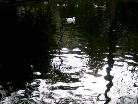 f:id:baby-alone:20090412012343j:image