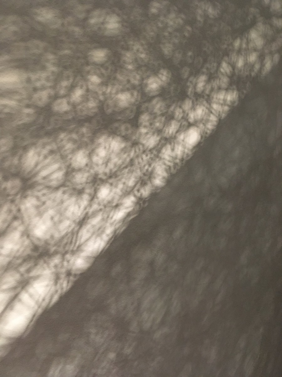 f:id:baby-alone:20190809193602j:plain f:id:baby-alone:20190809193602j:plain